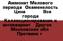 Аммонит Мелового периода. Окаменелость. › Цена ­ 2 800 - Все города Коллекционирование и антиквариат » Другое   . Московская обл.,Протвино г.